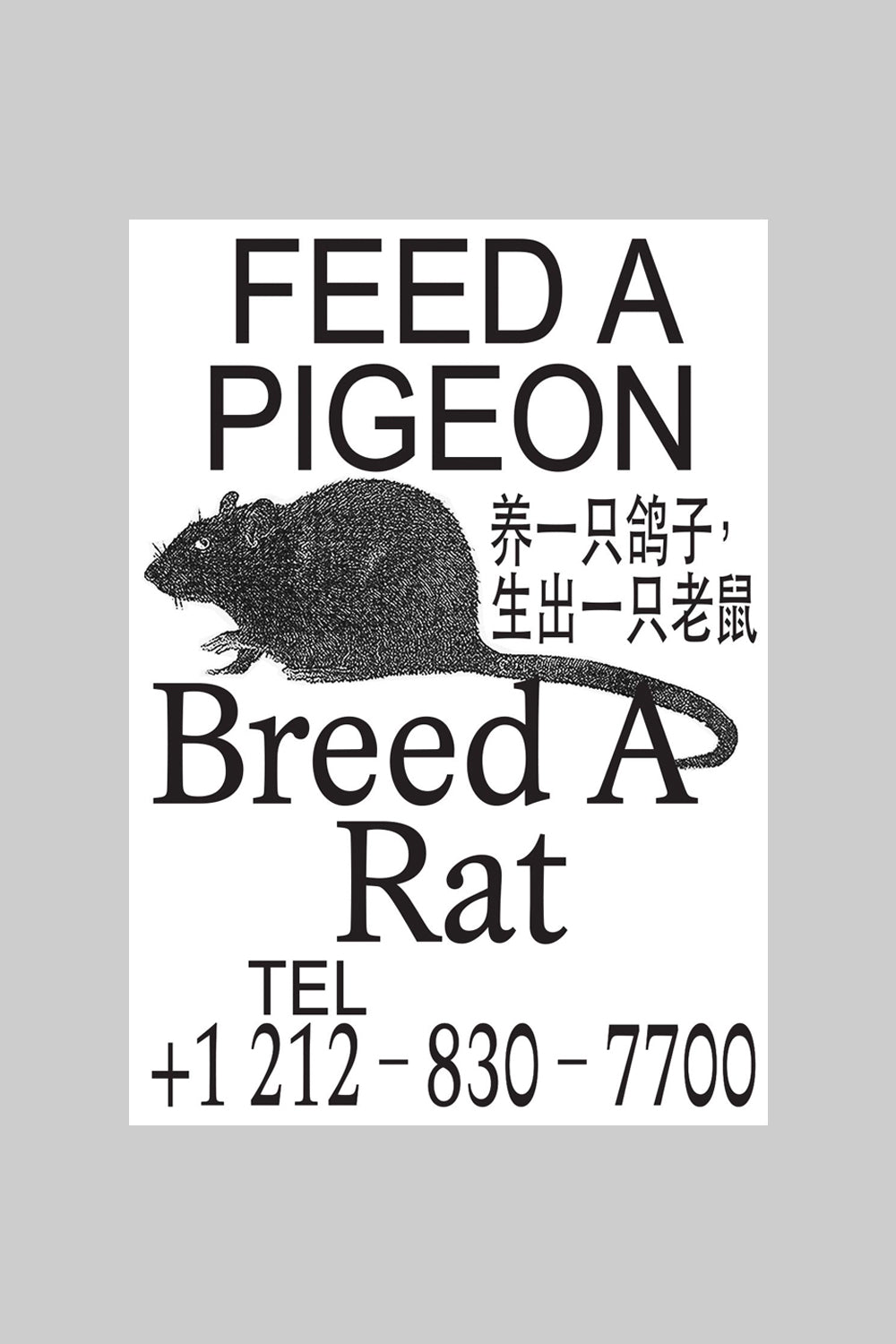 Feed a Rat